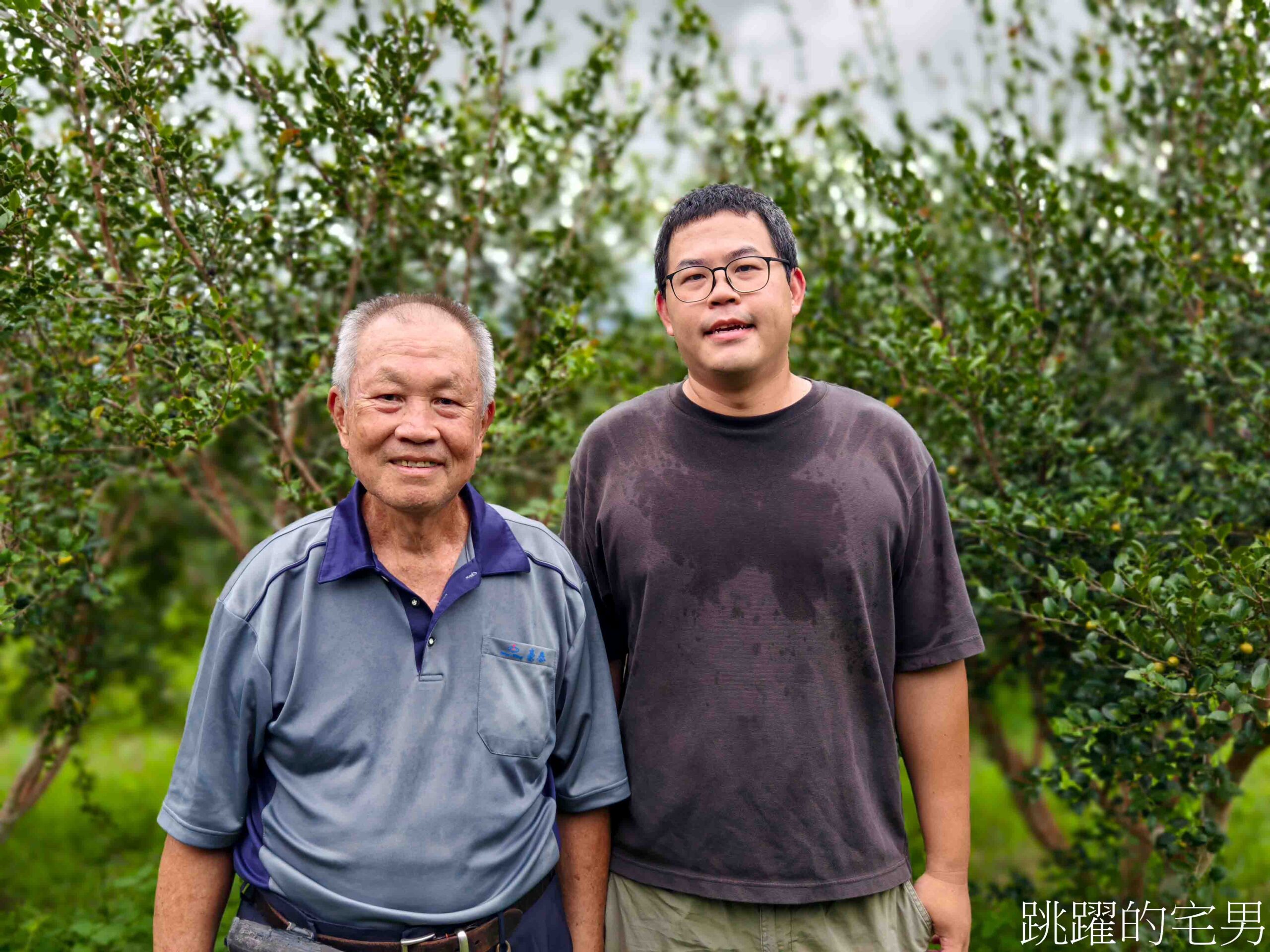 [台灣苦茶油推薦]天水生態農場-35位小農自然友善種植台灣原生種苦茶樹，2024金評獎茶油組優選，ITI國際風味評鑑3星，有機苦茶油、產履小果苦茶油