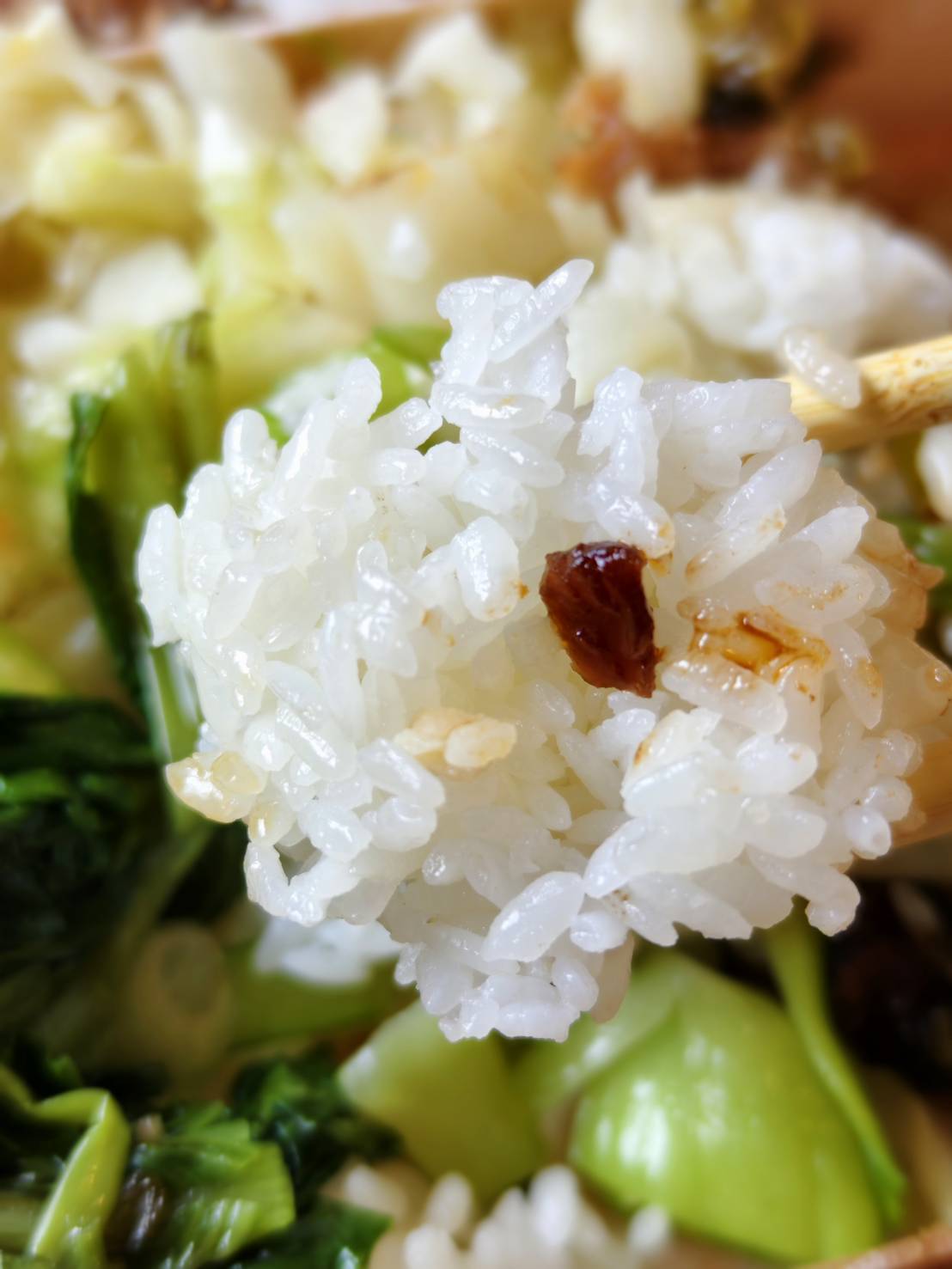 [花蓮美食]建國路東池池上飯包-花蓮便當推薦厚切燒肉又酥又香、控肉，大片排骨飯好吃