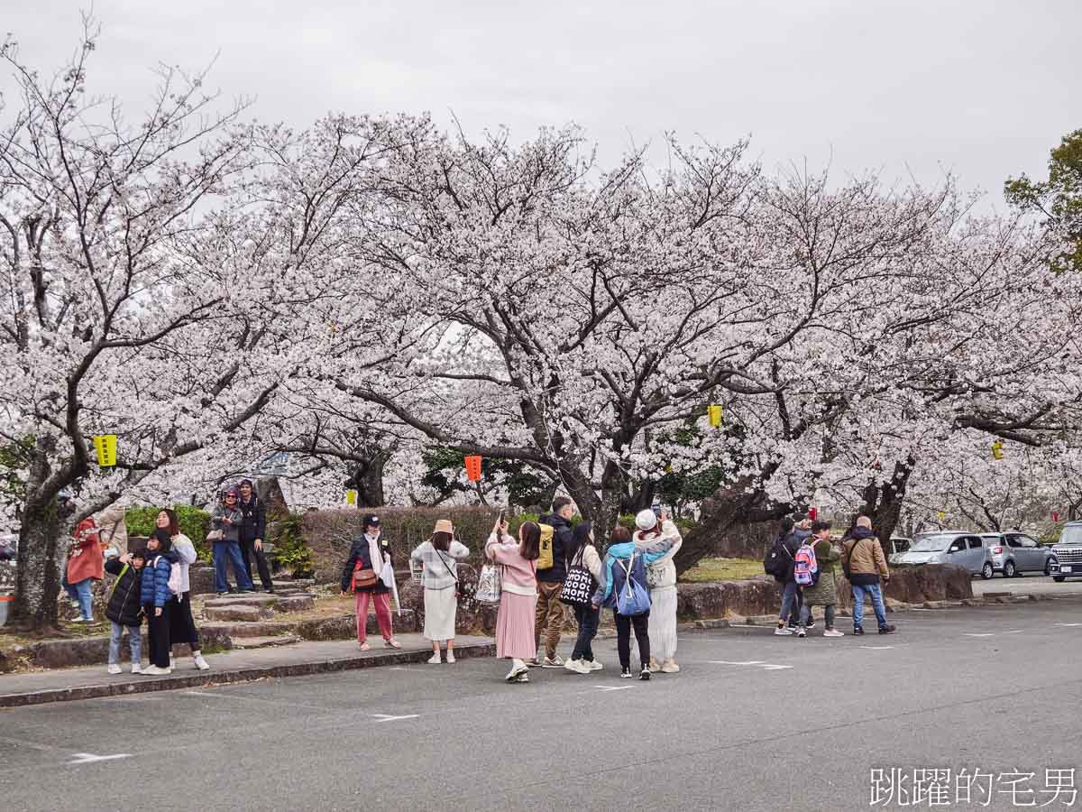 [日本九州賞櫻]2025麗星郵輪探索星號6天5夜日本長崎熊本沖繩，3次岸上觀光璀璨櫻花、夜晚航行享受郵輪娛樂，免費餐廳一天6餐吃到飽翻天