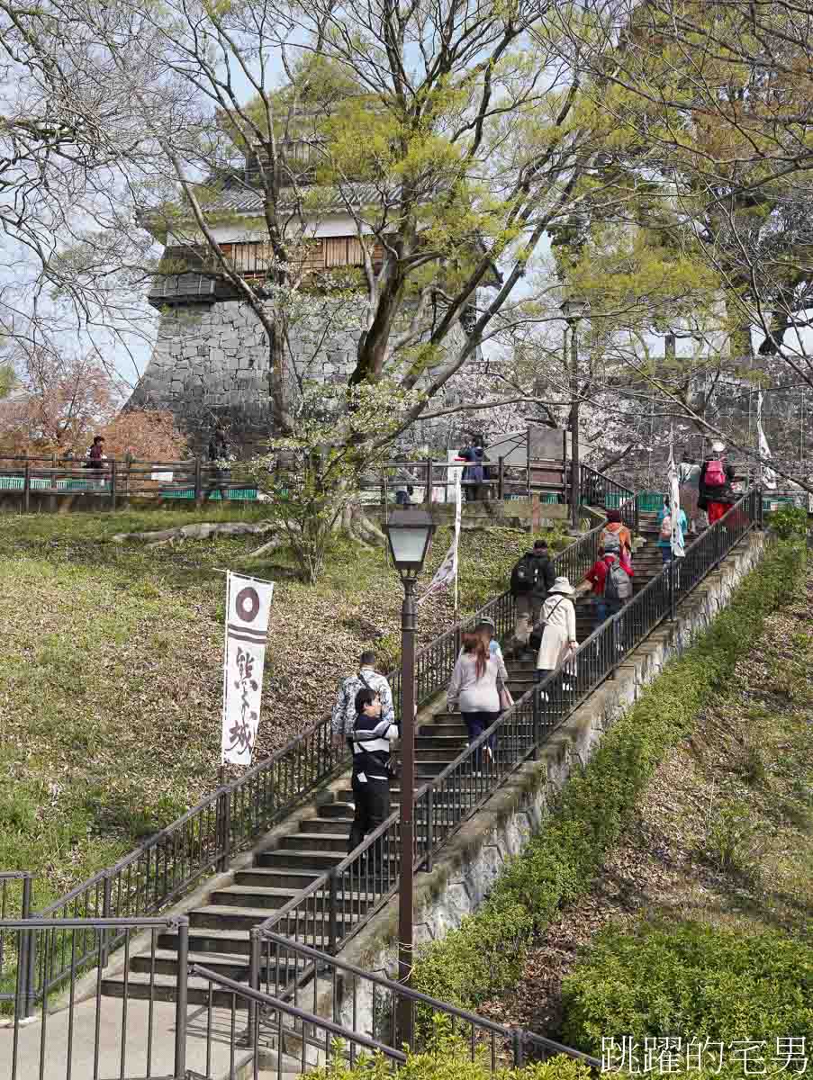 [熊本景點]2025熊本城櫻花、周邊散策、我在熊本吃了半夜也有開的濃郁雞白湯拉麵