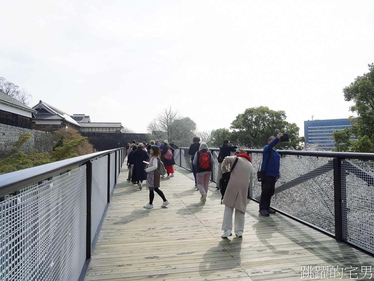 [熊本景點]2025熊本城櫻花、周邊散策、我在熊本吃了半夜也有開的濃郁雞白湯拉麵