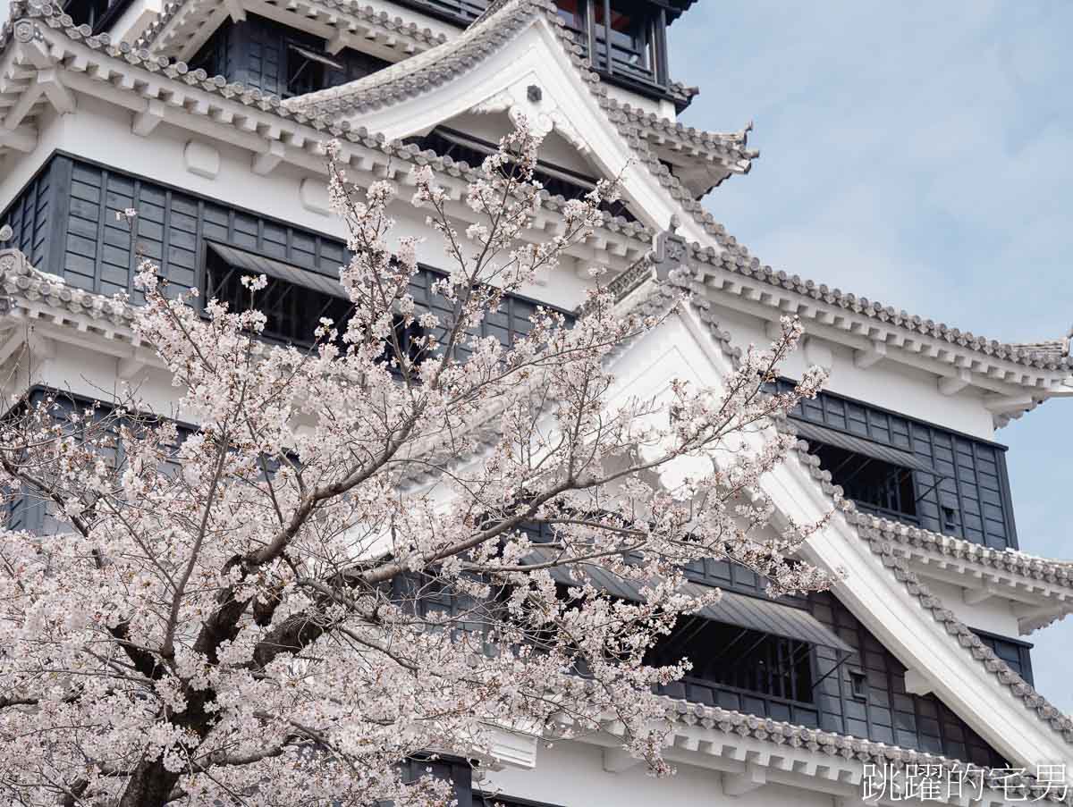 [熊本景點]2025熊本城櫻花、周邊散策、我在熊本吃了半夜也有開的濃郁雞白湯拉麵