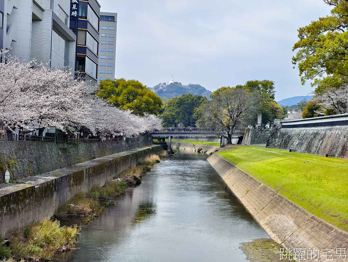 [熊本景點]2025熊本城櫻花、周邊散策、我在熊本吃了半夜也有開的濃郁雞白湯拉麵