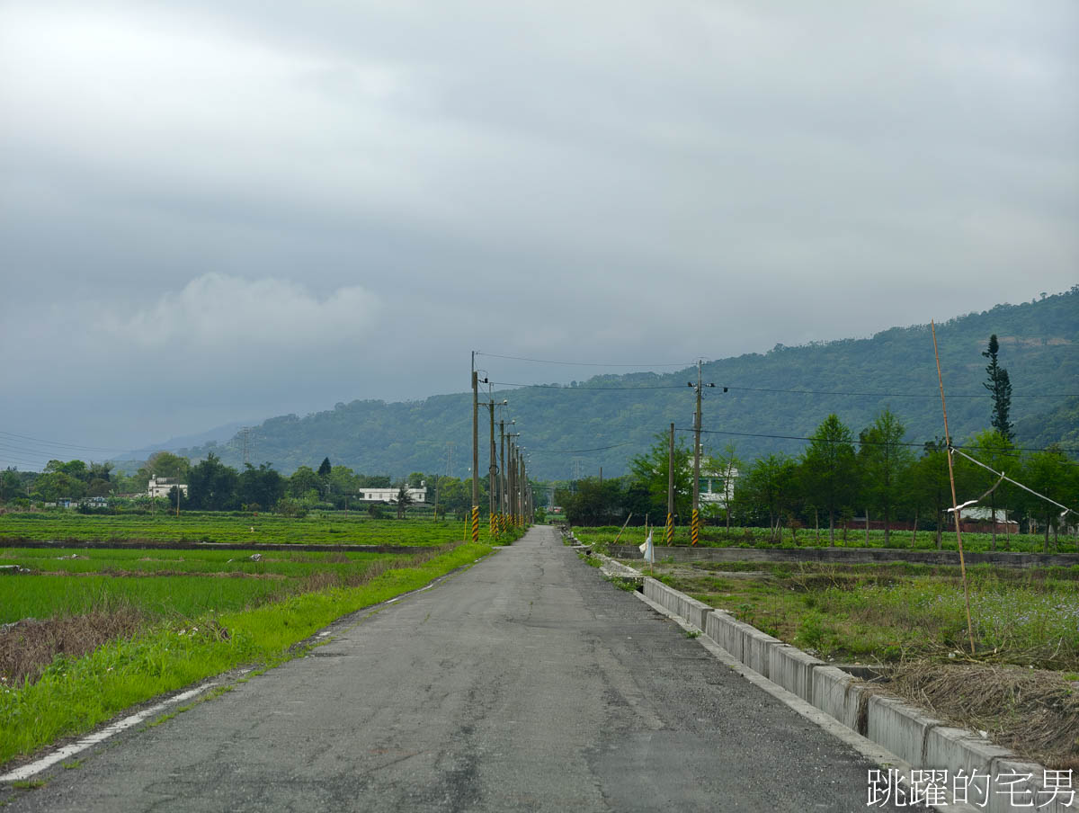 [壽豐咖啡廳]Bali Budaya峇里布達雅-來花蓮下午茶感覺就像出國，大片綠地心情超放鬆