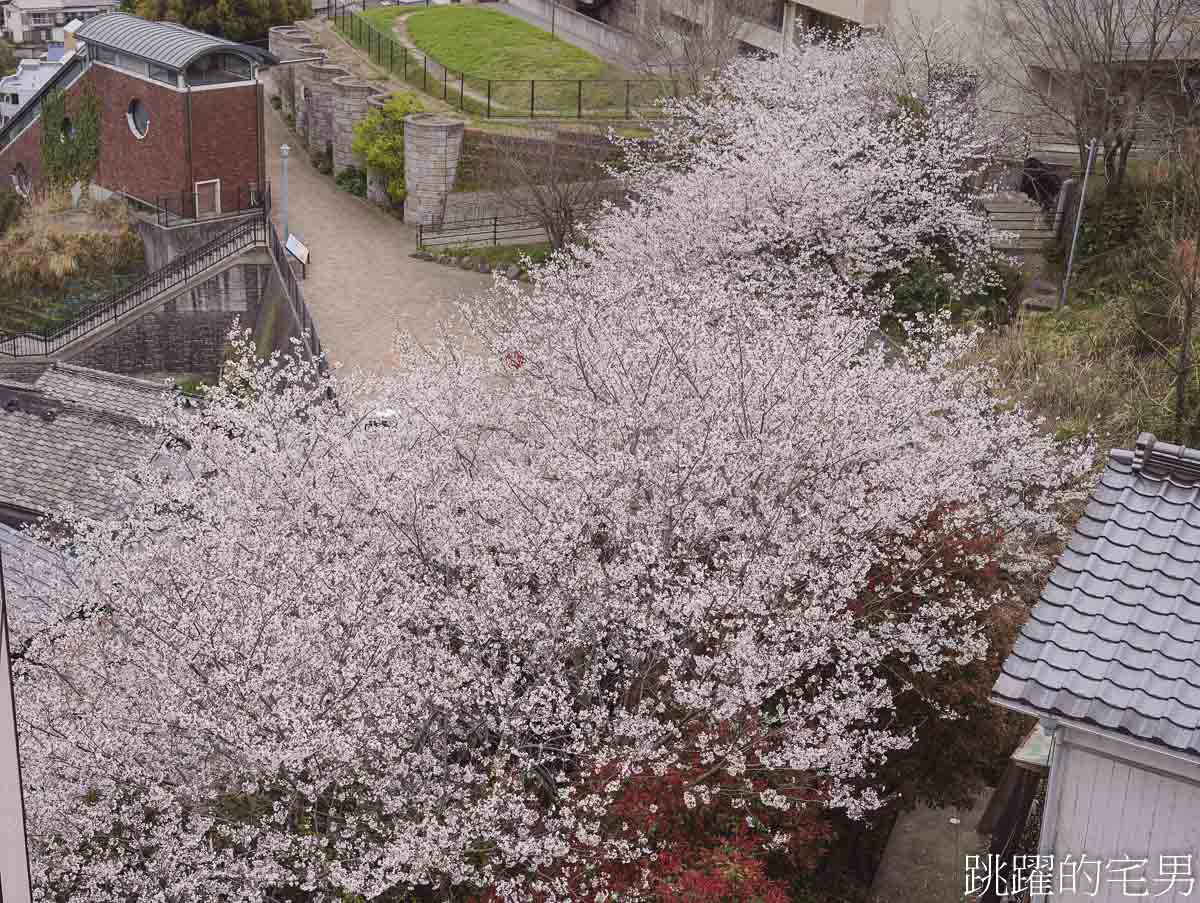 [長崎景點]長崎櫻花圓形樓梯最佳網美拍照點，免費無障礙電梯直達哥拉巴園，在地超市價格便宜直接買爆