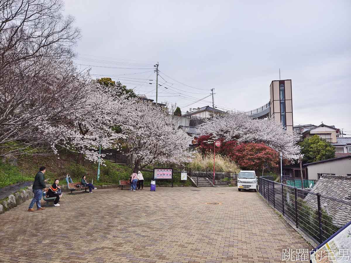[長崎景點]長崎櫻花圓形樓梯最佳網美拍照點，免費無障礙電梯直達哥拉巴園，在地超市價格便宜直接買爆