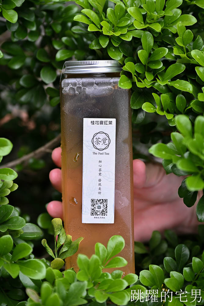 [茶覺The Feel Tea] 最好喝無糖茶就在這! 花蓮自創品牌手搖飲推出台灣比賽茶，滿滿茶葉的手採台十八令人驚豔，花蓮飲料店推薦