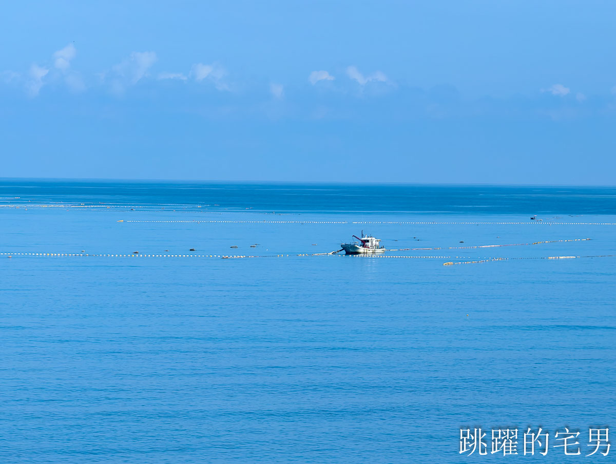 臺鐵公司花東會員優惠措施懶人包一次看，APP無法領票，每日同區間點數8倍送限1張，花蓮到台北最快2小時12分
