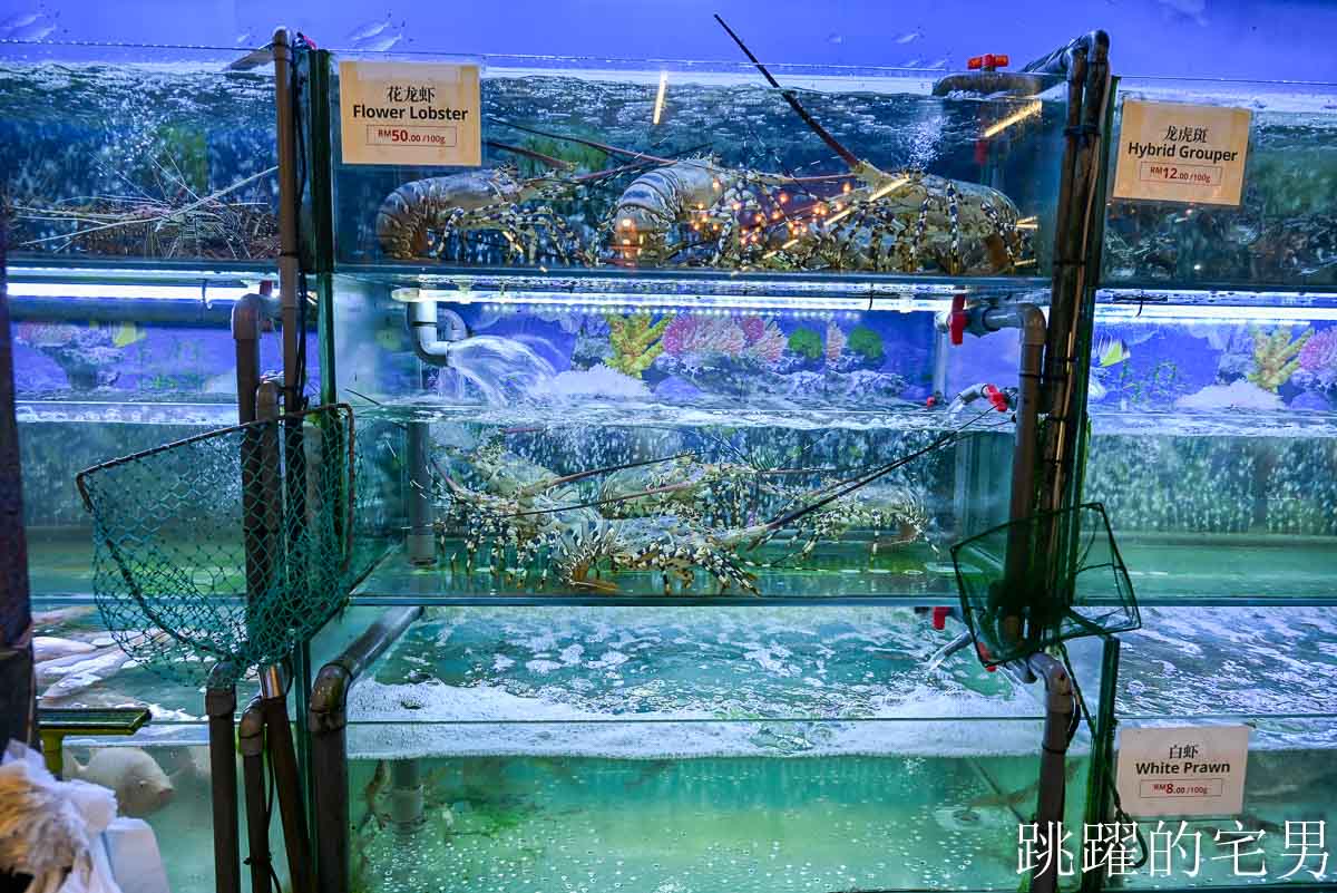 [沙巴海鮮餐廳]ITCC沙巴海鮮樓-巨大亞庇海鮮盆奶油龍蝦、金沙螃蟹味道也太鮮美了! 椰香布丁完美結尾，必吃馬來西亞海鮮，沙巴美食推薦