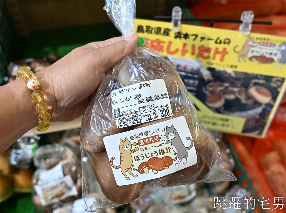 [鳥取景點懶人包]鳥取自駕必看攻略｜日本租車中文網站、日本高速公路PASS費用怎麼算、ETC 車道一次搞懂，日本自駕注意事項