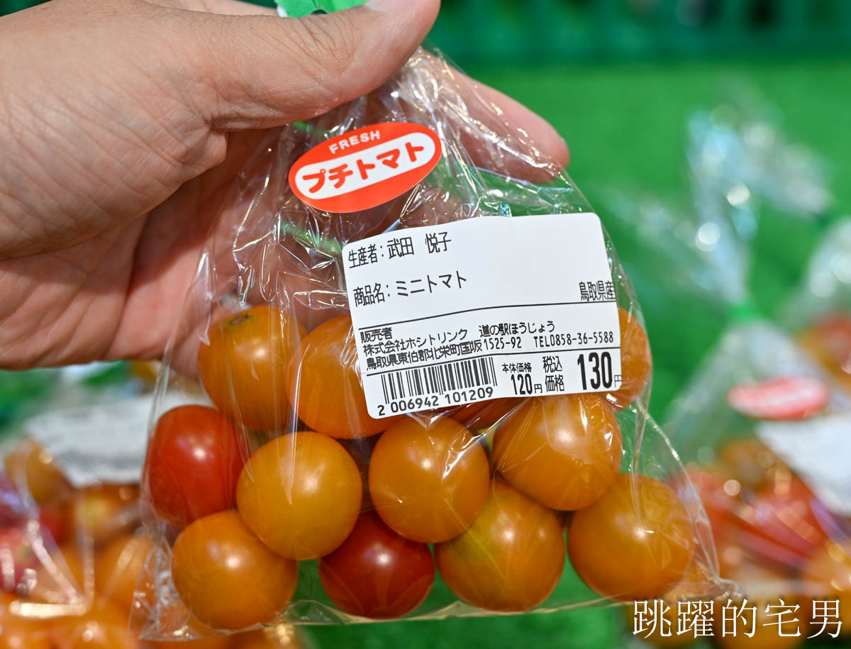 [鳥取景點懶人包]鳥取自駕必看攻略｜日本租車中文網站、日本高速公路PASS費用怎麼算、ETC 車道一次搞懂，日本自駕注意事項