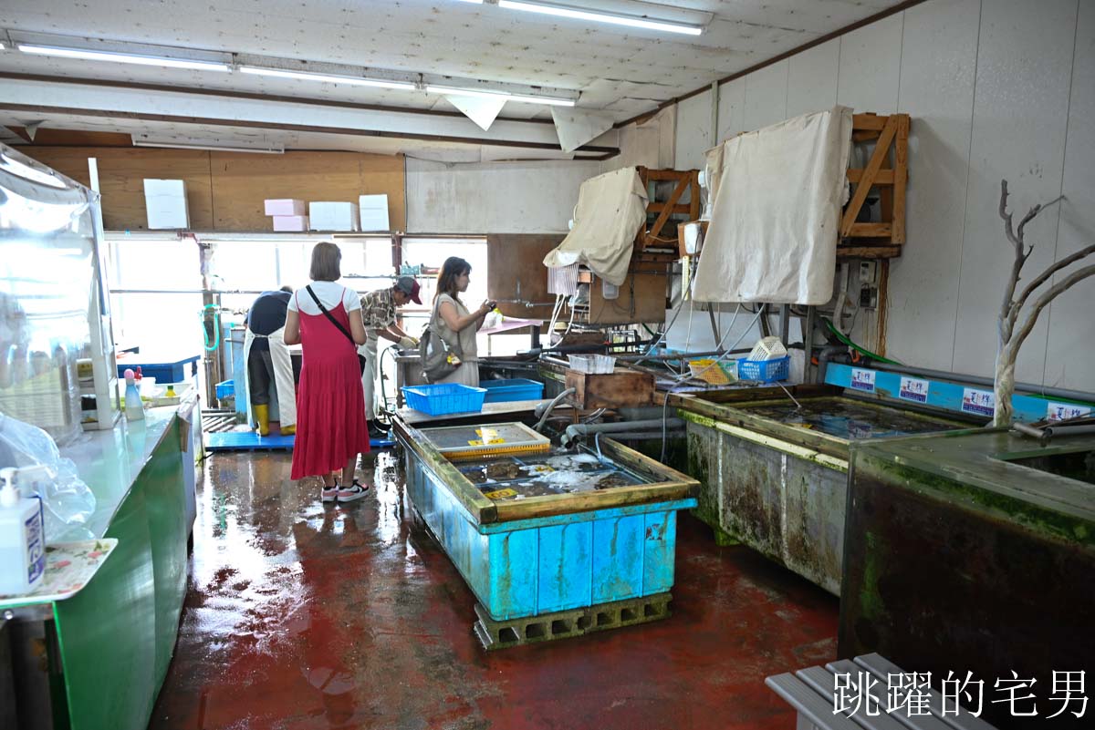 [日本鳥取海鮮推薦]村中水產直賣店- 夏季限定!! 鳥取必吃岩牡蠣極致美味！官方認證夏輝岩牡蠣「4年熟成脆甜爆汁」看到這品牌直接買，這時候最好吃!