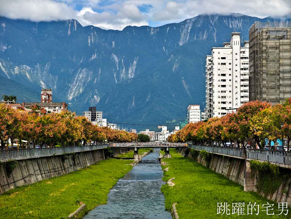 [吉安景點]七腳川-花蓮日常的幸福美景，延綿數百公尺的台灣櫟樹花海，每年9-10月花蓮秋季美景，花蓮花季，花蓮景點