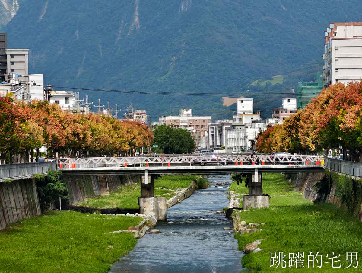 [吉安景點]七腳川-花蓮日常的幸福美景，延綿數百公尺的台灣櫟樹花海，每年9-10月花蓮秋季美景，花蓮花季，花蓮景點