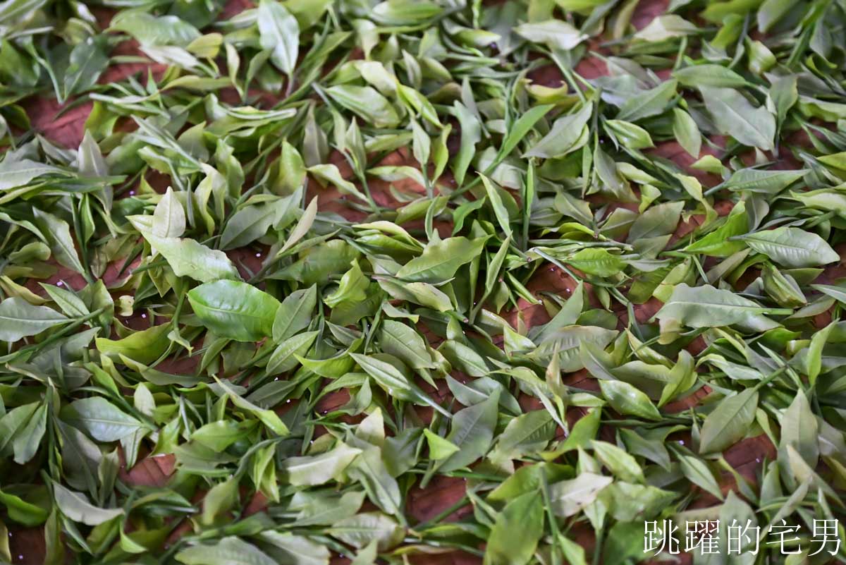 [南投魚池美食]日月老茶廠-日月潭1日遊行程推薦，高質感檜木老宅，見證台灣百年紅茶歷史，茶香入菜日月茶房必吃獅子頭