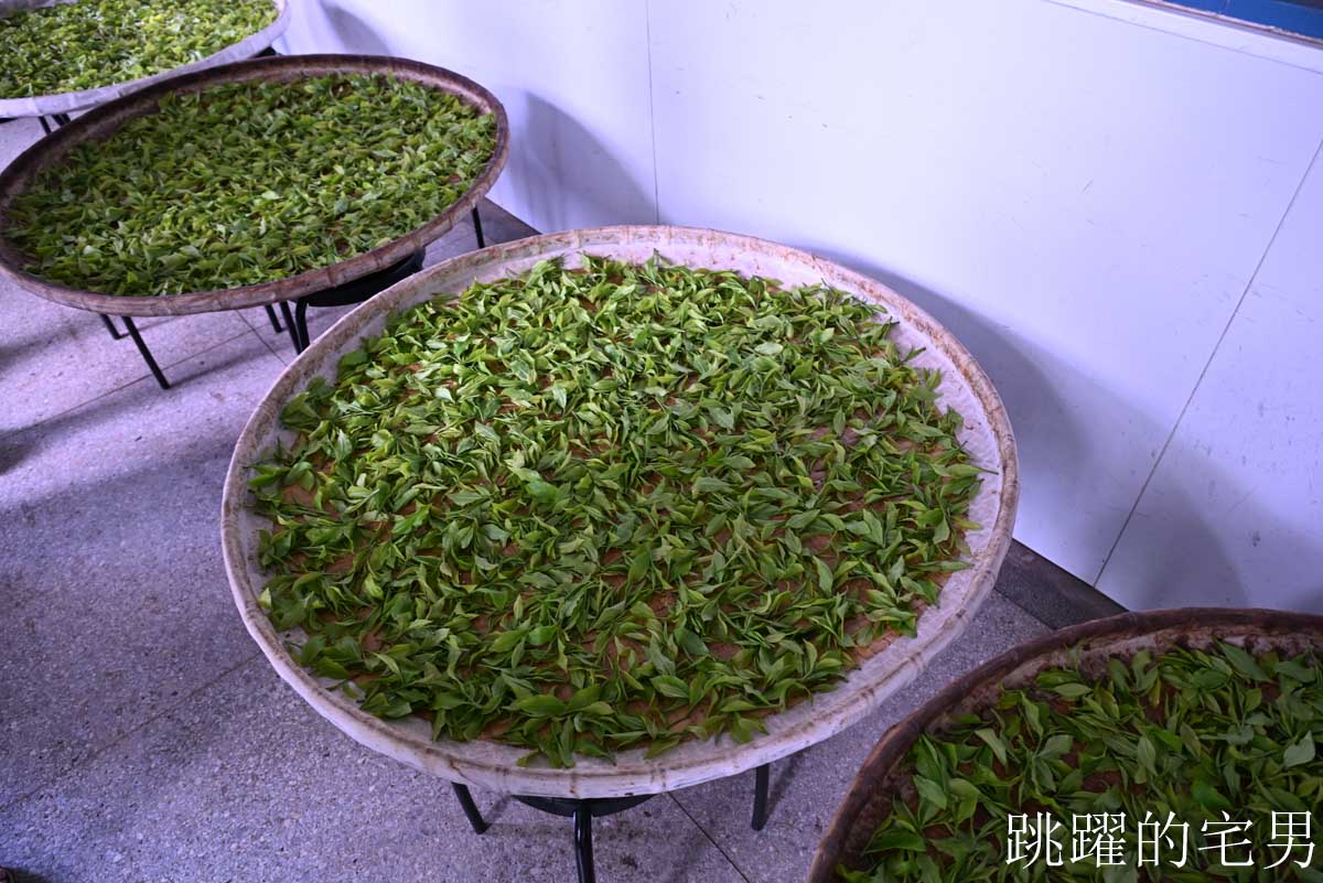 [南投魚池美食]日月老茶廠-日月潭1日遊行程推薦，高質感檜木老宅，見證台灣百年紅茶歷史，茶香入菜日月茶房必吃獅子頭