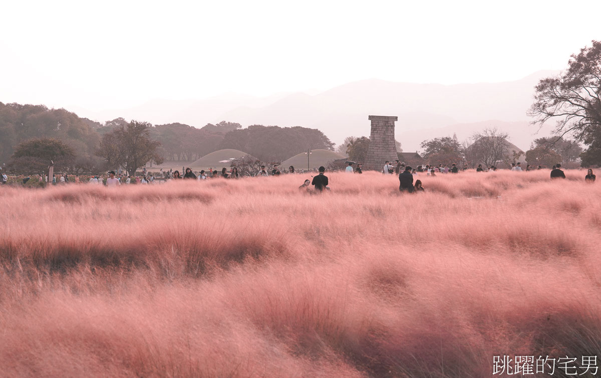 網站近期文章：[韓國旅遊]慶州瞻星臺첨성대-韓國秋天不只有楓葉，絕美粉黛亂子草粉紅風暴，住宿慶州韓屋皇南館，月晴橋美食素食推薦校村家三百家