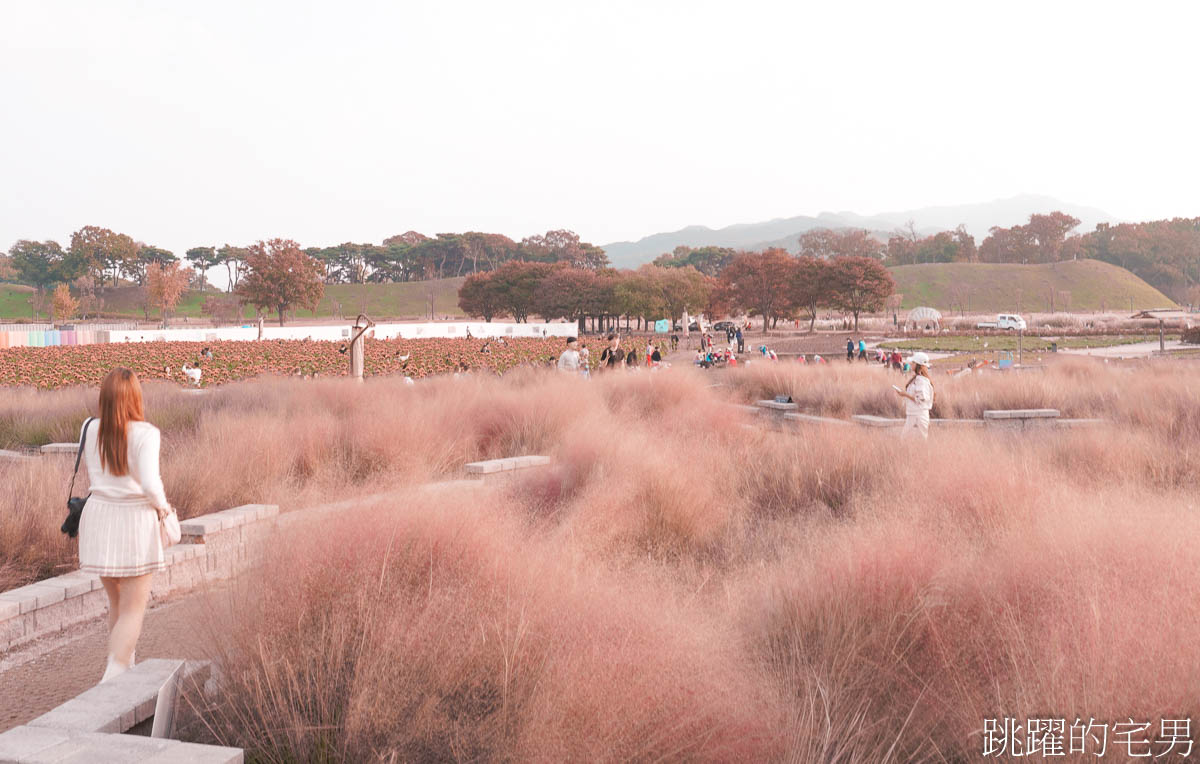 [韓國旅遊]慶州瞻星臺첨성대-韓國秋天不只有楓葉，絕美粉黛亂子草粉紅風暴，住宿慶州韓屋皇南館，月晴橋美食素食推薦校村家三百家