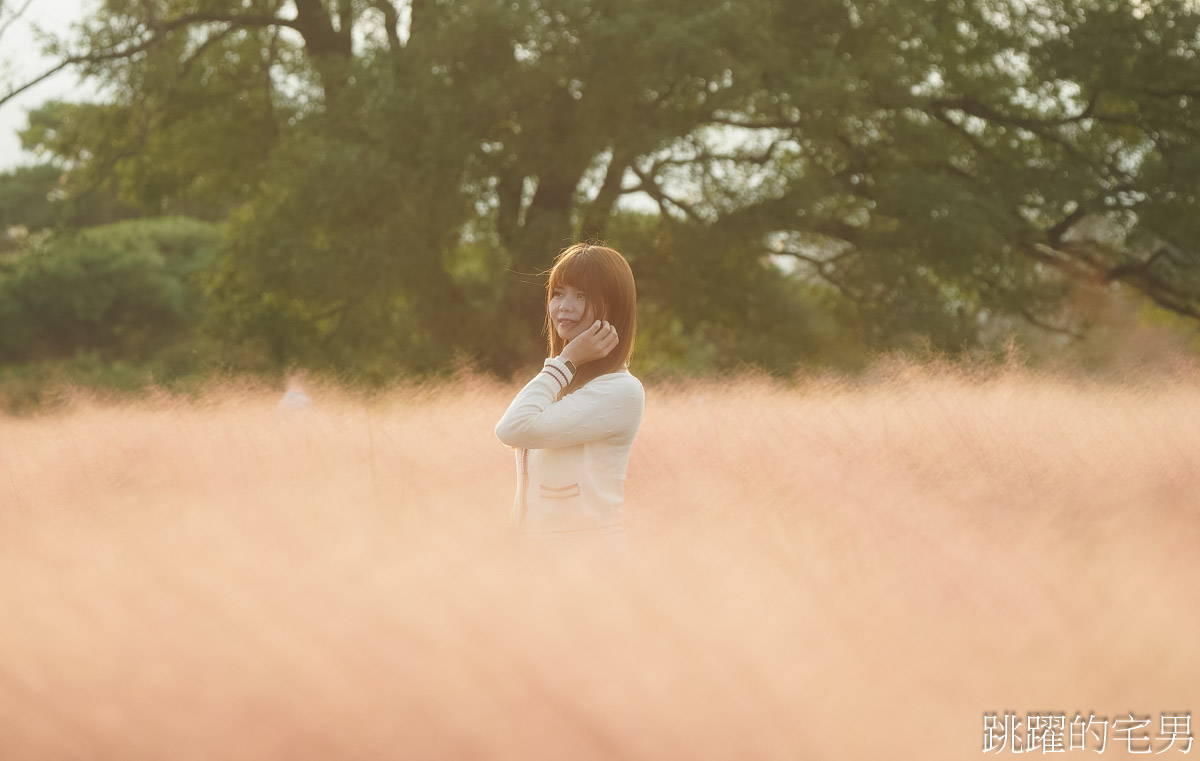 [韓國旅遊]慶州瞻星臺첨성대-韓國秋天不只有楓葉，絕美粉黛亂子草粉紅風暴，住宿慶州韓屋皇南館，月晴橋美食素食推薦校村家三百家