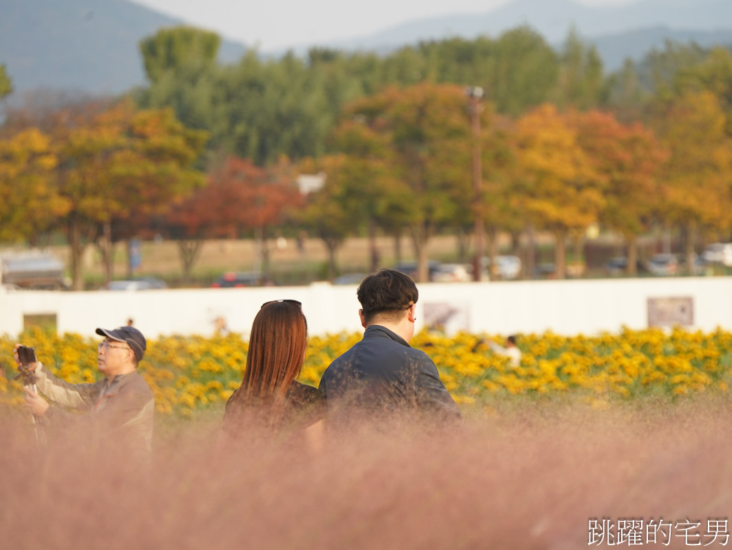 [韓國旅遊]慶州瞻星臺첨성대-韓國秋天不只有楓葉，絕美粉黛亂子草粉紅風暴，住宿慶州韓屋皇南館，月晴橋美食素食推薦校村家三百家
