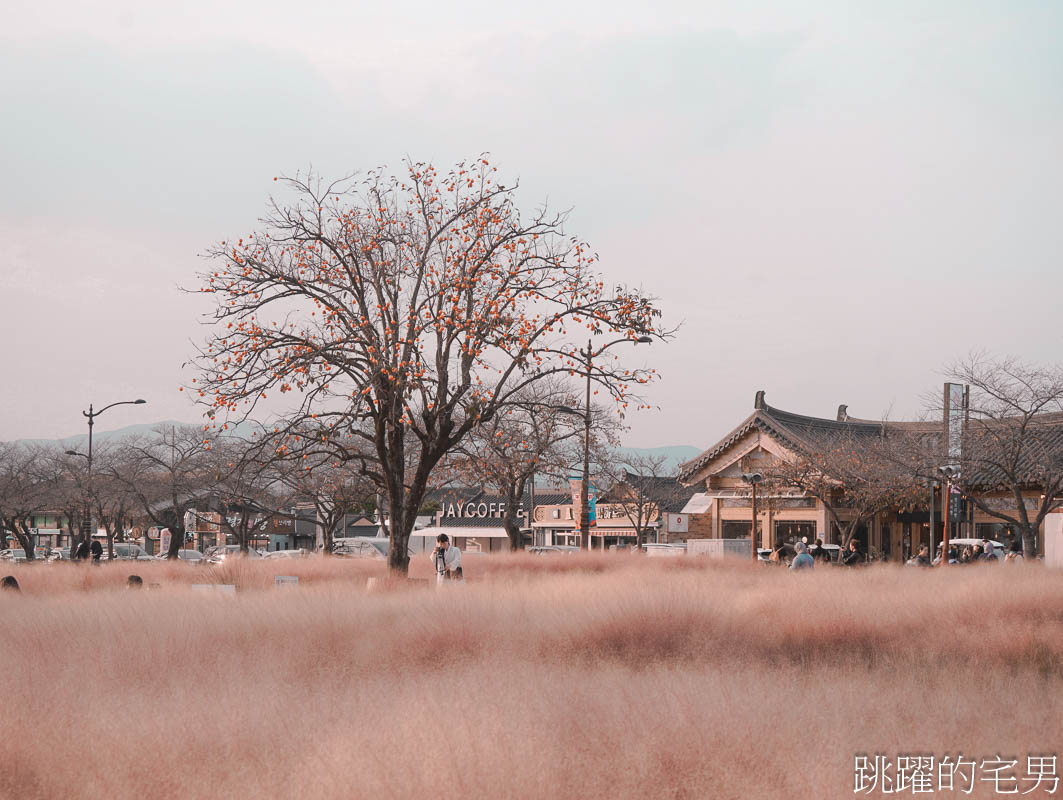 [韓國旅遊]慶州瞻星臺첨성대-韓國秋天不只有楓葉，絕美粉黛亂子草粉紅風暴，住宿慶州韓屋皇南館，月晴橋美食素食推薦校村家三百家