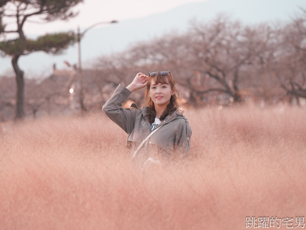 [韓國旅遊]慶州瞻星臺첨성대-韓國秋天不只有楓葉，絕美粉黛亂子草粉紅風暴，住宿慶州韓屋皇南館，月晴橋美食素食推薦校村家三百家