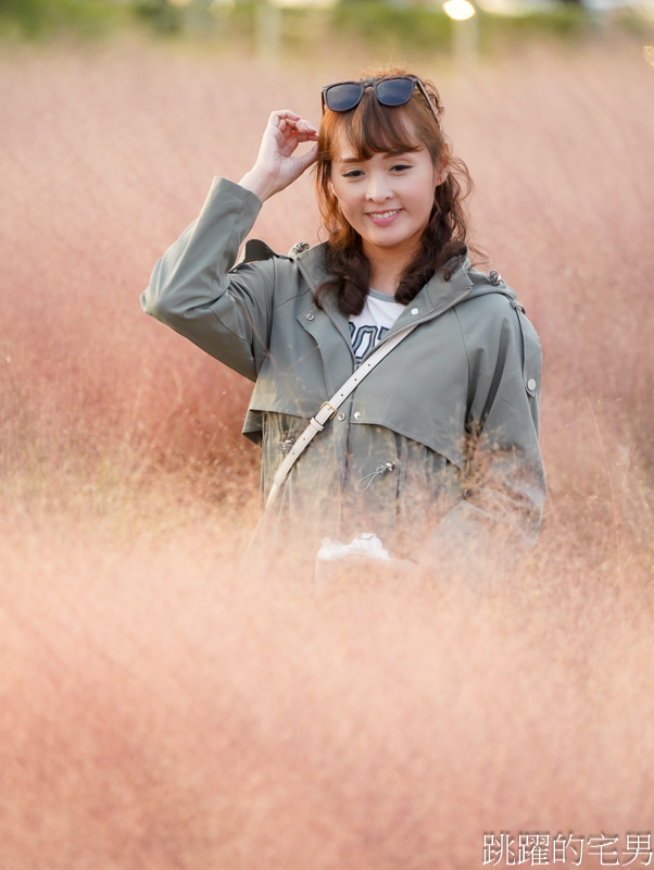 [韓國旅遊]慶州瞻星臺첨성대-韓國秋天不只有楓葉，絕美粉黛亂子草粉紅風暴，住宿慶州韓屋皇南館，月晴橋美食素食推薦校村家三百家