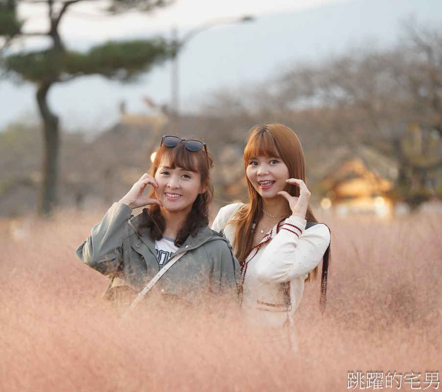 [韓國旅遊]慶州瞻星臺첨성대-韓國秋天不只有楓葉，絕美粉黛亂子草粉紅風暴，住宿慶州韓屋皇南館，月晴橋美食素食推薦校村家三百家