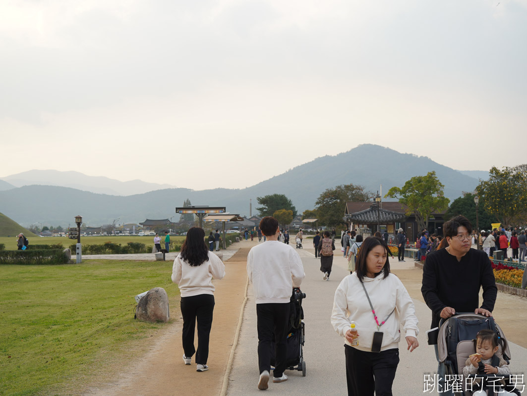 [韓國旅遊]慶州瞻星臺첨성대-韓國秋天不只有楓葉，絕美粉黛亂子草粉紅風暴，住宿慶州韓屋皇南館，月晴橋美食素食推薦校村家三百家