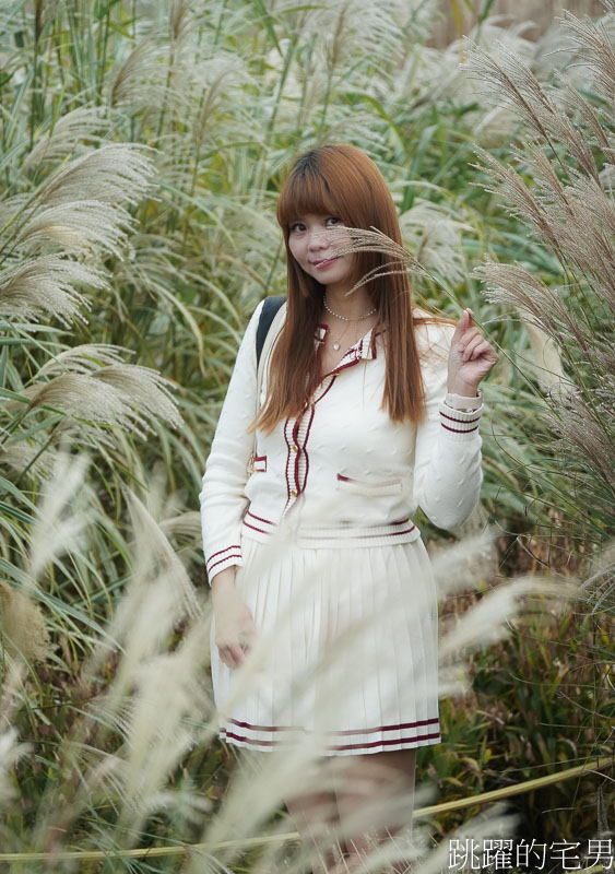 [韓國旅遊]慶州瞻星臺첨성대-韓國秋天不只有楓葉，絕美粉黛亂子草粉紅風暴，住宿慶州韓屋皇南館，月晴橋美食素食推薦校村家三百家