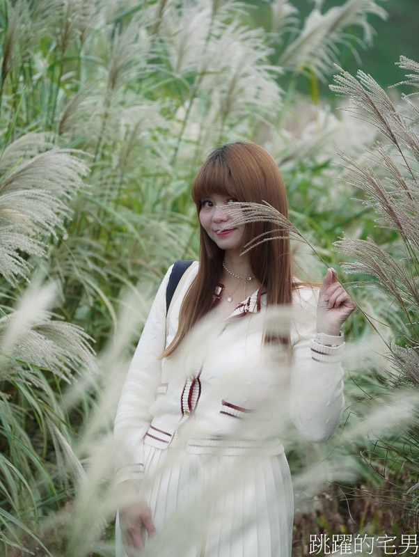 [韓國旅遊]慶州瞻星臺첨성대-韓國秋天不只有楓葉，絕美粉黛亂子草粉紅風暴，住宿慶州韓屋皇南館，月晴橋美食素食推薦校村家三百家