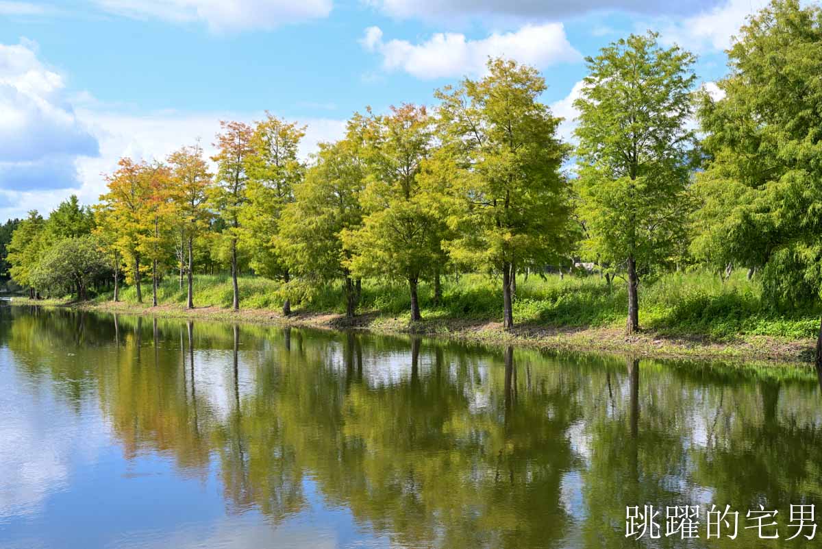 [花蓮壽豐景點懶人包]夢幻星巴克「星巴克花蓮理想門市」理想PAARK水岸生活坐擁絕美湖景環繞著落羽松，進駐9家在地美味，文青選物神農生活 這裡根本在歐洲，搭船遊遍落羽松湖畔