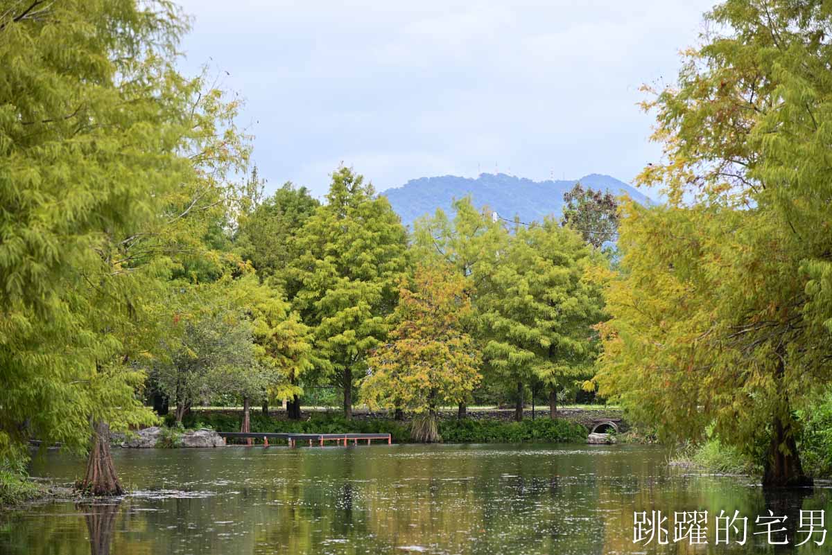 [花蓮壽豐景點懶人包]夢幻星巴克「星巴克花蓮理想門市」理想PAARK水岸生活坐擁絕美湖景環繞著落羽松，進駐9家在地美味，文青選物神農生活 這裡根本在歐洲，搭船遊遍落羽松湖畔