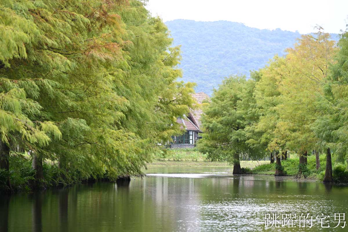 [花蓮壽豐景點懶人包]夢幻星巴克「星巴克花蓮理想門市」理想PAARK水岸生活坐擁絕美湖景環繞著落羽松，進駐9家在地美味，文青選物神農生活 這裡根本在歐洲，搭船遊遍落羽松湖畔