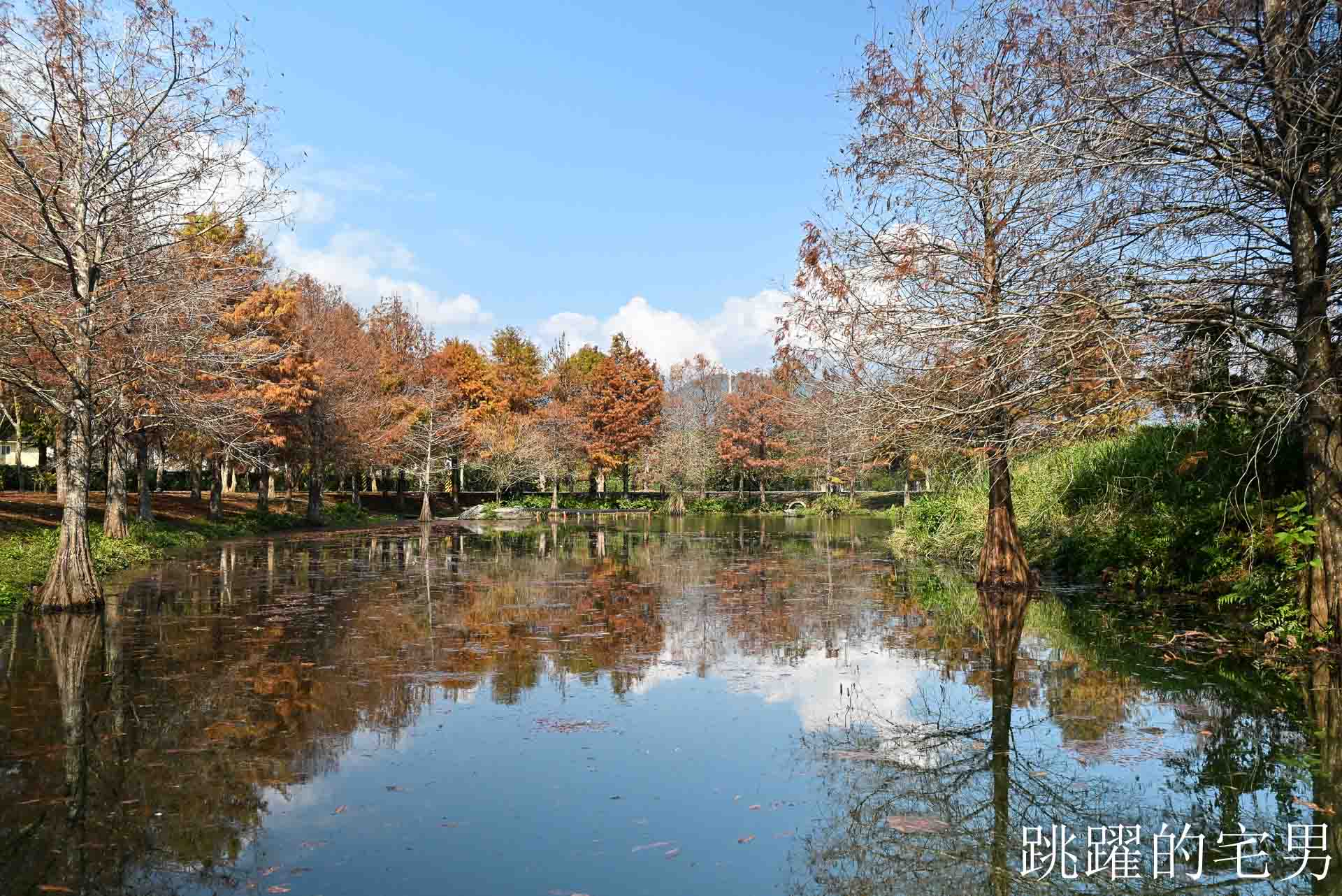 [花蓮壽豐景點懶人包]夢幻星巴克「星巴克花蓮理想門市」理想PAARK水岸生活坐擁絕美湖景環繞著落羽松，進駐9家在地美味，文青選物神農生活 這裡根本在歐洲，搭船遊遍落羽松湖畔