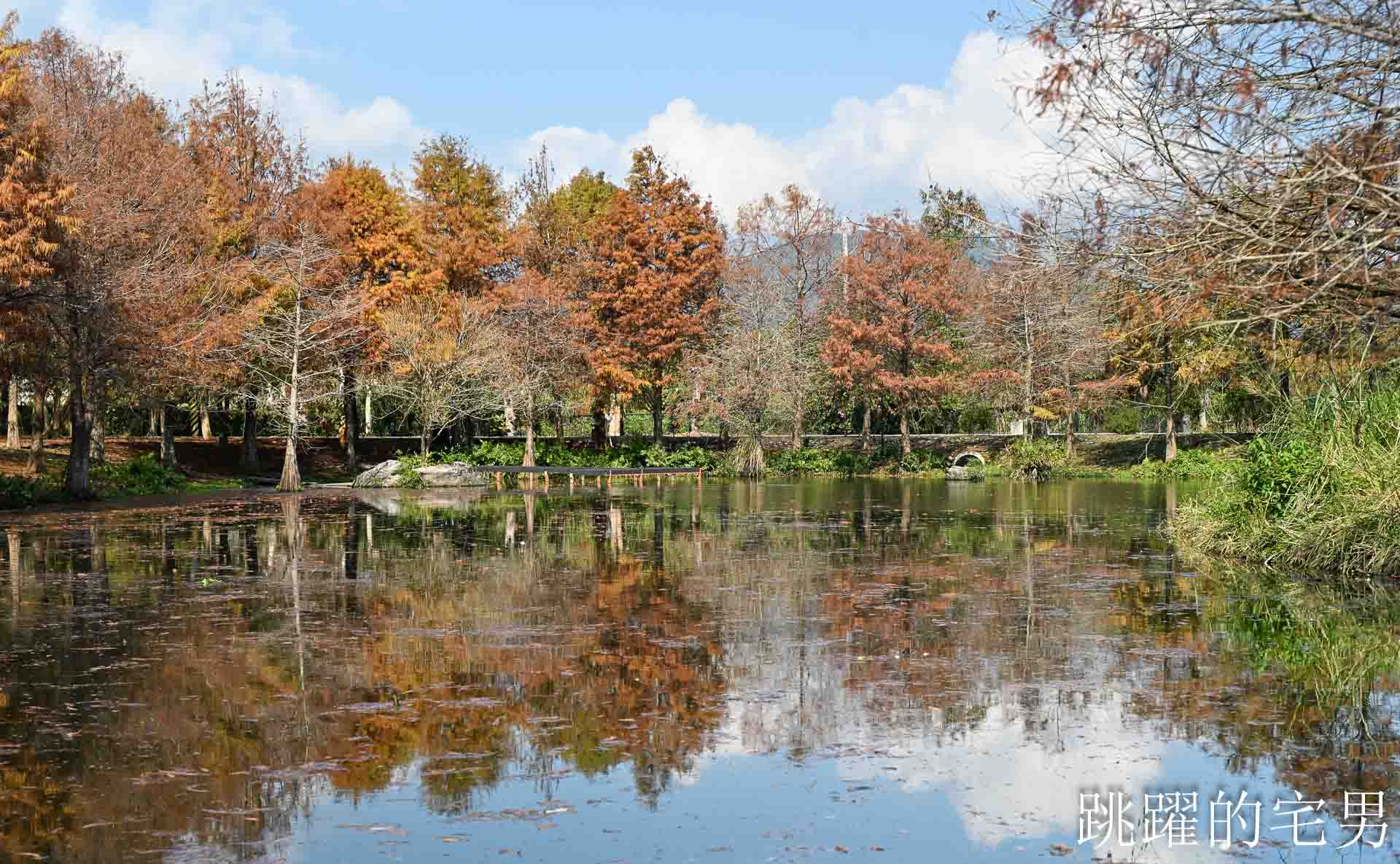 [花蓮壽豐景點懶人包]夢幻星巴克「星巴克花蓮理想門市」理想PAARK水岸生活坐擁絕美湖景環繞著落羽松，進駐9家在地美味，文青選物神農生活 這裡根本在歐洲，搭船遊遍落羽松湖畔