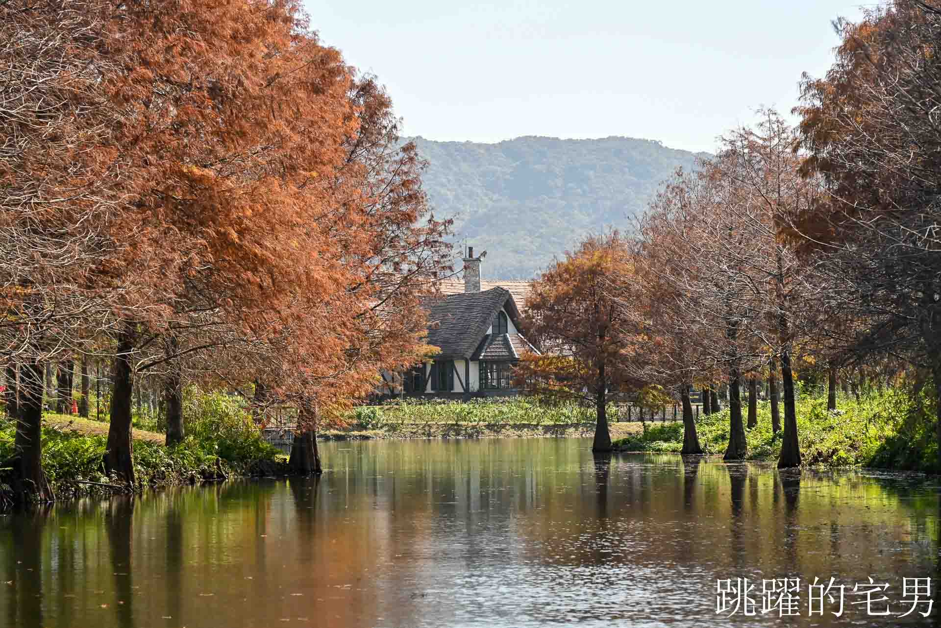 [花蓮壽豐景點懶人包]夢幻星巴克「星巴克花蓮理想門市」理想PAARK水岸生活坐擁絕美湖景環繞著落羽松，進駐9家在地美味，文青選物神農生活 這裡根本在歐洲，搭船遊遍落羽松湖畔
