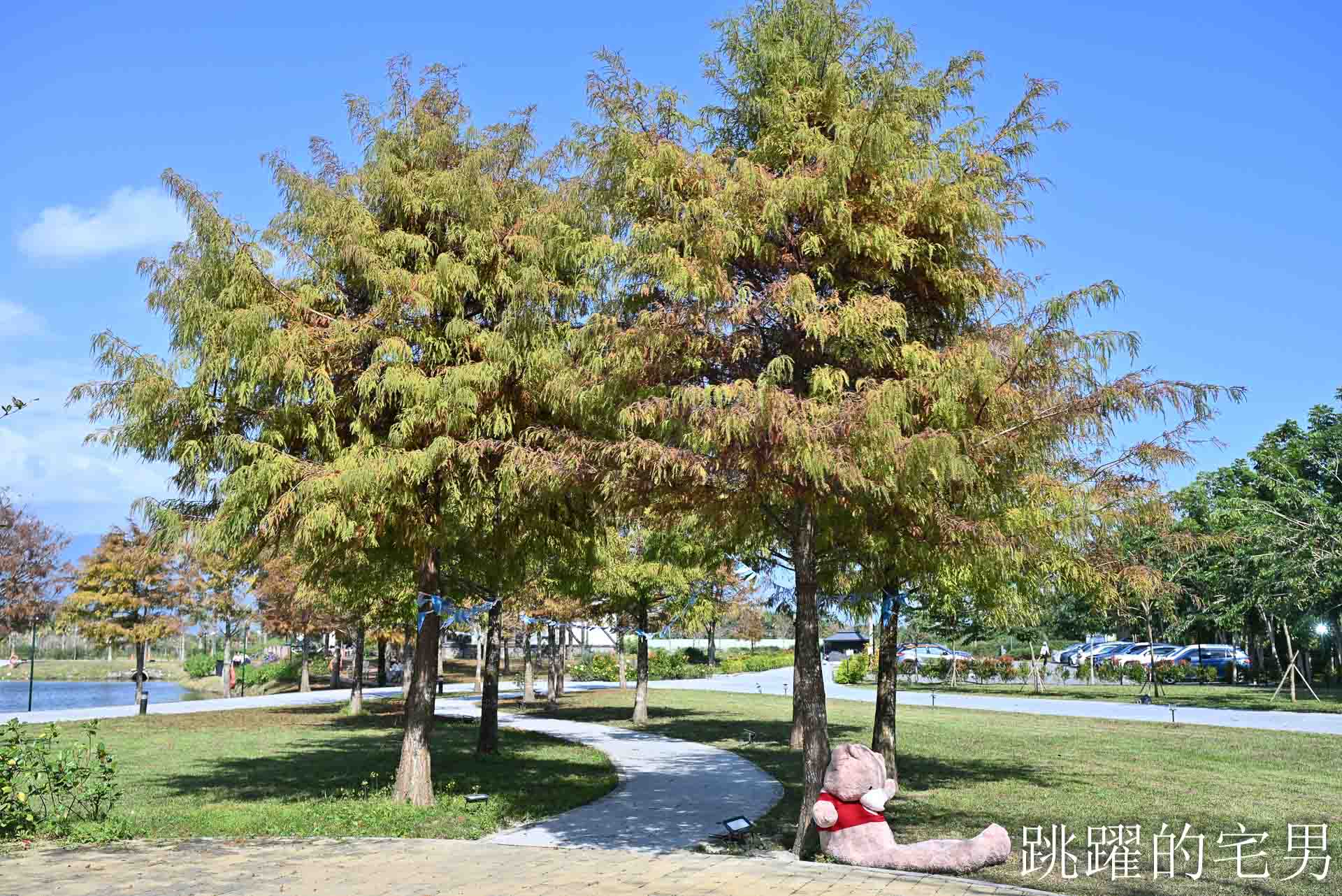 [花蓮壽豐景點懶人包]夢幻星巴克「星巴克花蓮理想門市」理想PAARK水岸生活坐擁絕美湖景環繞著落羽松，進駐9家在地美味，文青選物神農生活 這裡根本在歐洲，搭船遊遍落羽松湖畔