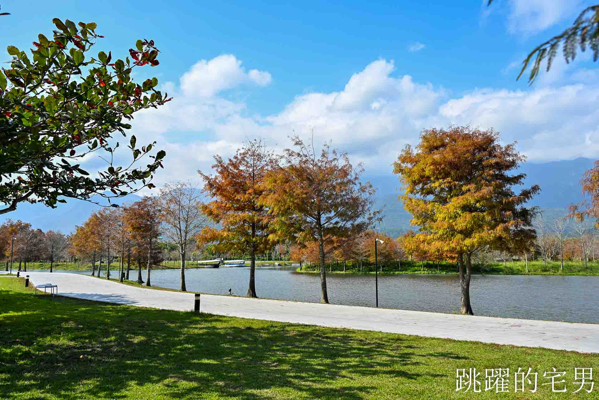 [花蓮壽豐景點懶人包]夢幻星巴克「星巴克花蓮理想門市」理想PAARK水岸生活坐擁絕美湖景環繞著落羽松，進駐9家在地美味，文青選物神農生活 這裡根本在歐洲，搭船遊遍落羽松湖畔