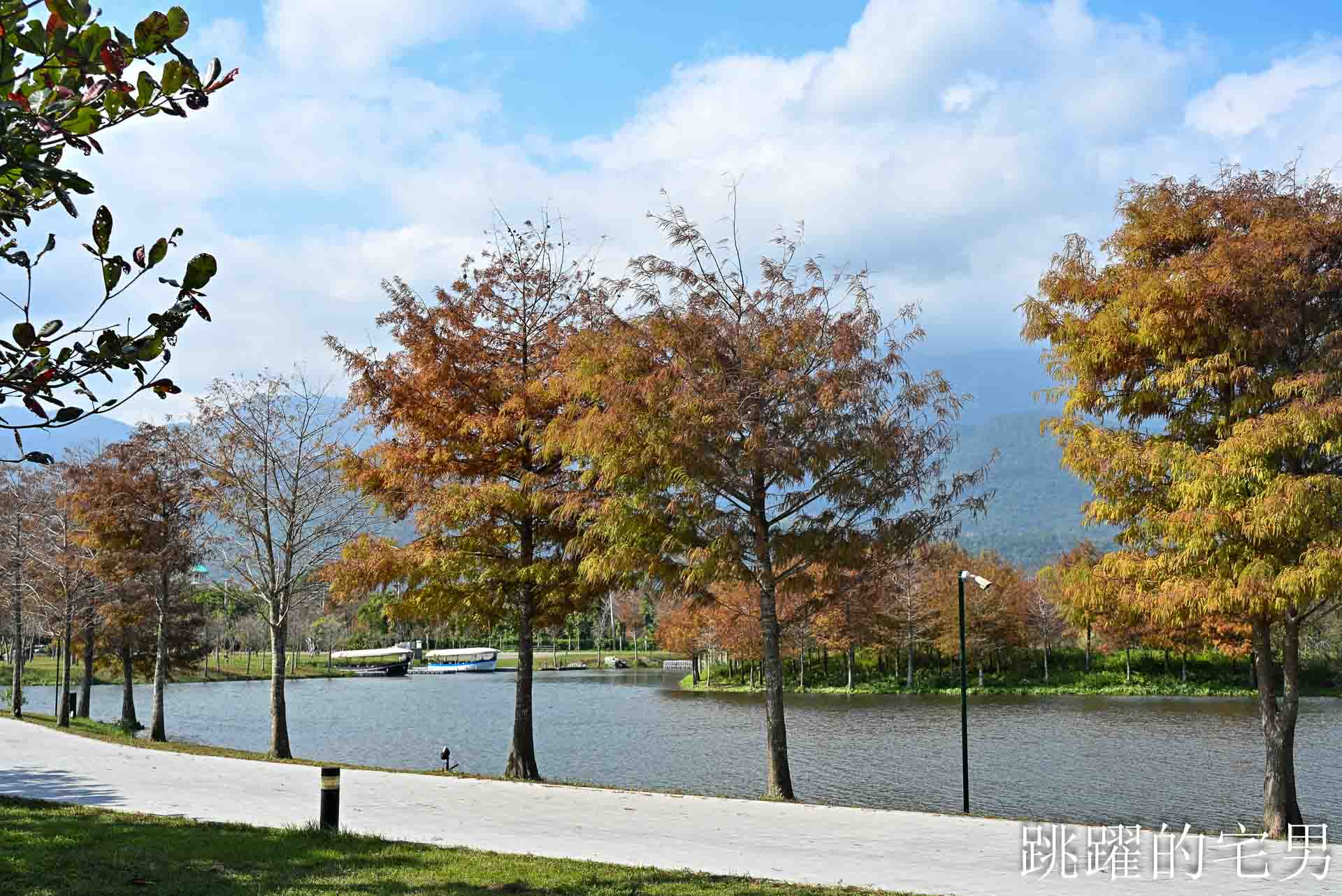 [花蓮壽豐景點懶人包]夢幻星巴克「星巴克花蓮理想門市」理想PAARK水岸生活坐擁絕美湖景環繞著落羽松，進駐9家在地美味，文青選物神農生活 這裡根本在歐洲，搭船遊遍落羽松湖畔