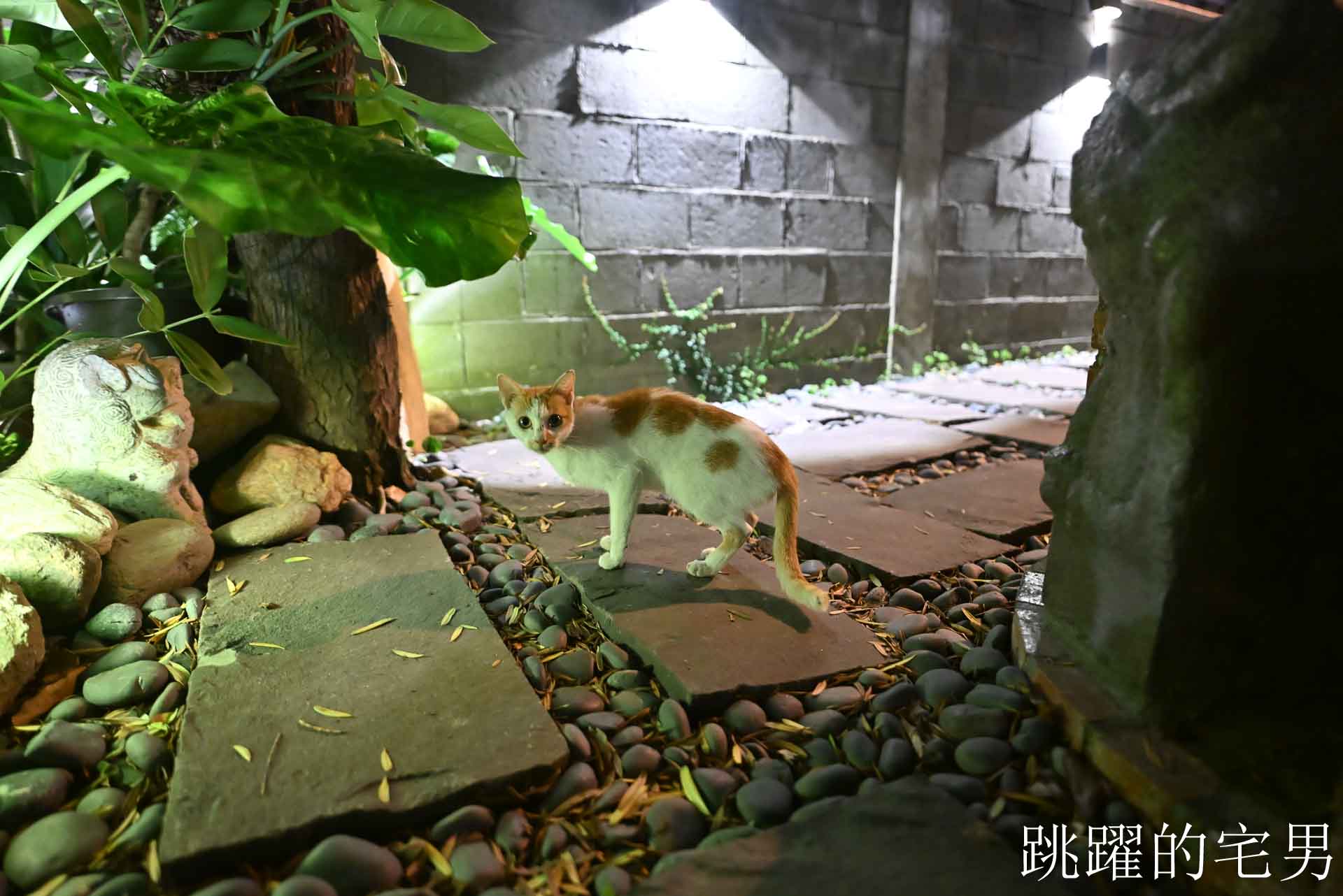 [花蓮酒吧推薦]島東譯電所2.0 : 必去的台灣古物咖啡廳，是用老靈魂在說故事，藏在古物堆裡的微醺時光，從早到晚都能入戲的花蓮老宅咖啡廳