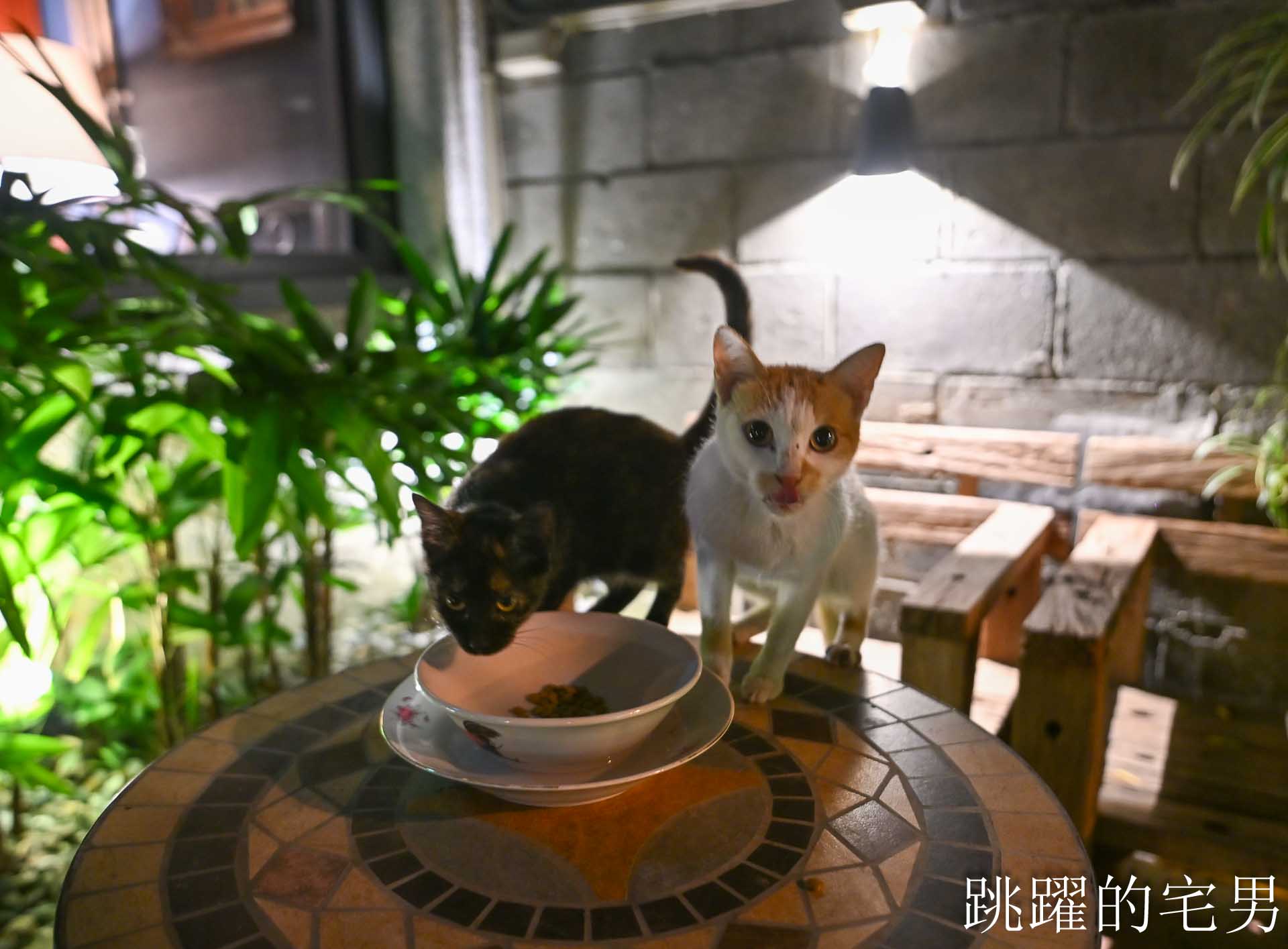 [花蓮酒吧推薦]島東譯電所2.0 : 必去的台灣古物咖啡廳，是用老靈魂在說故事，藏在古物堆裡的微醺時光，從早到晚都能入戲的花蓮老宅咖啡廳