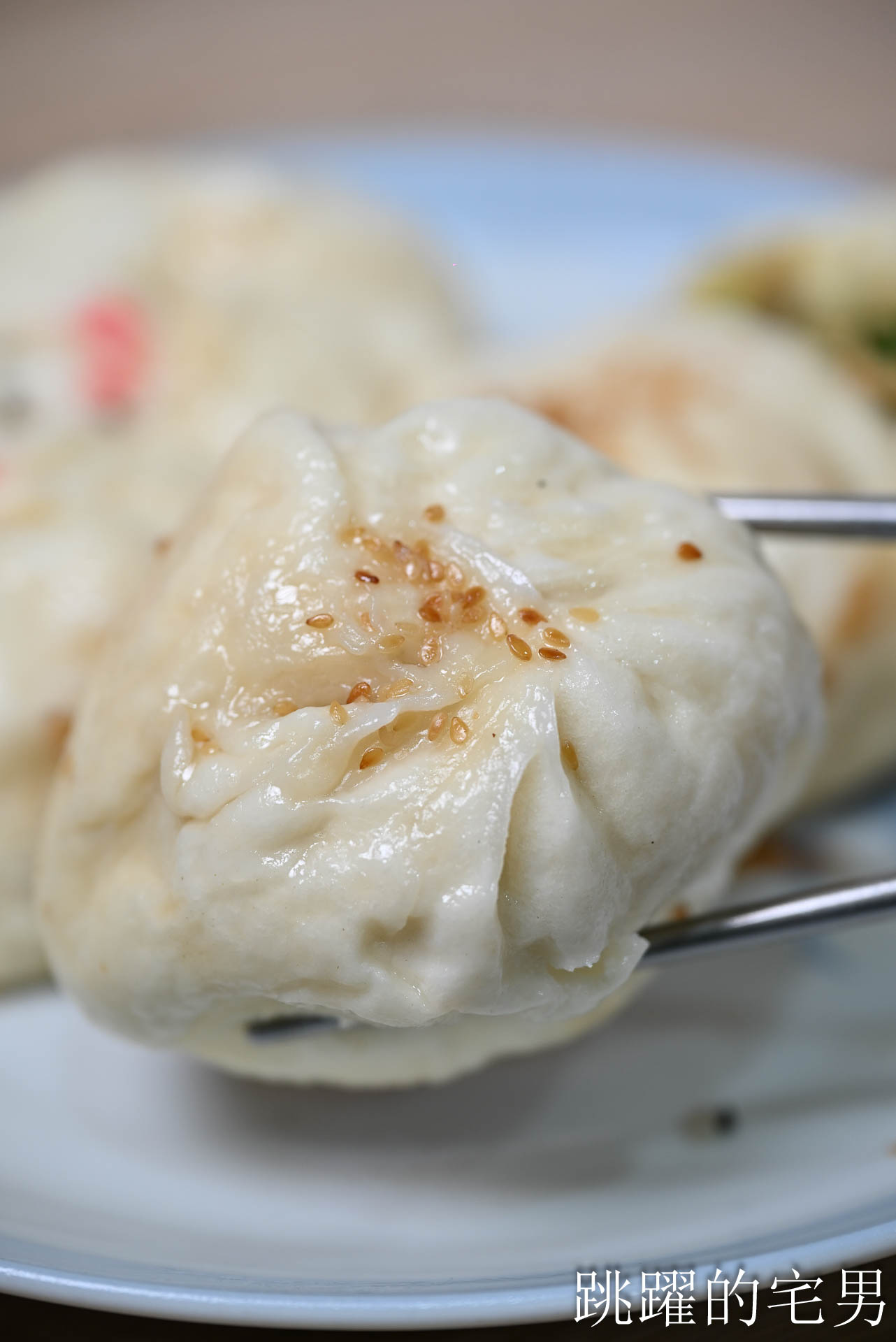 [花蓮美食]建昌水煎包-花蓮下午好吃鮮肉水煎包，7種口味葷素都有，花蓮水煎包