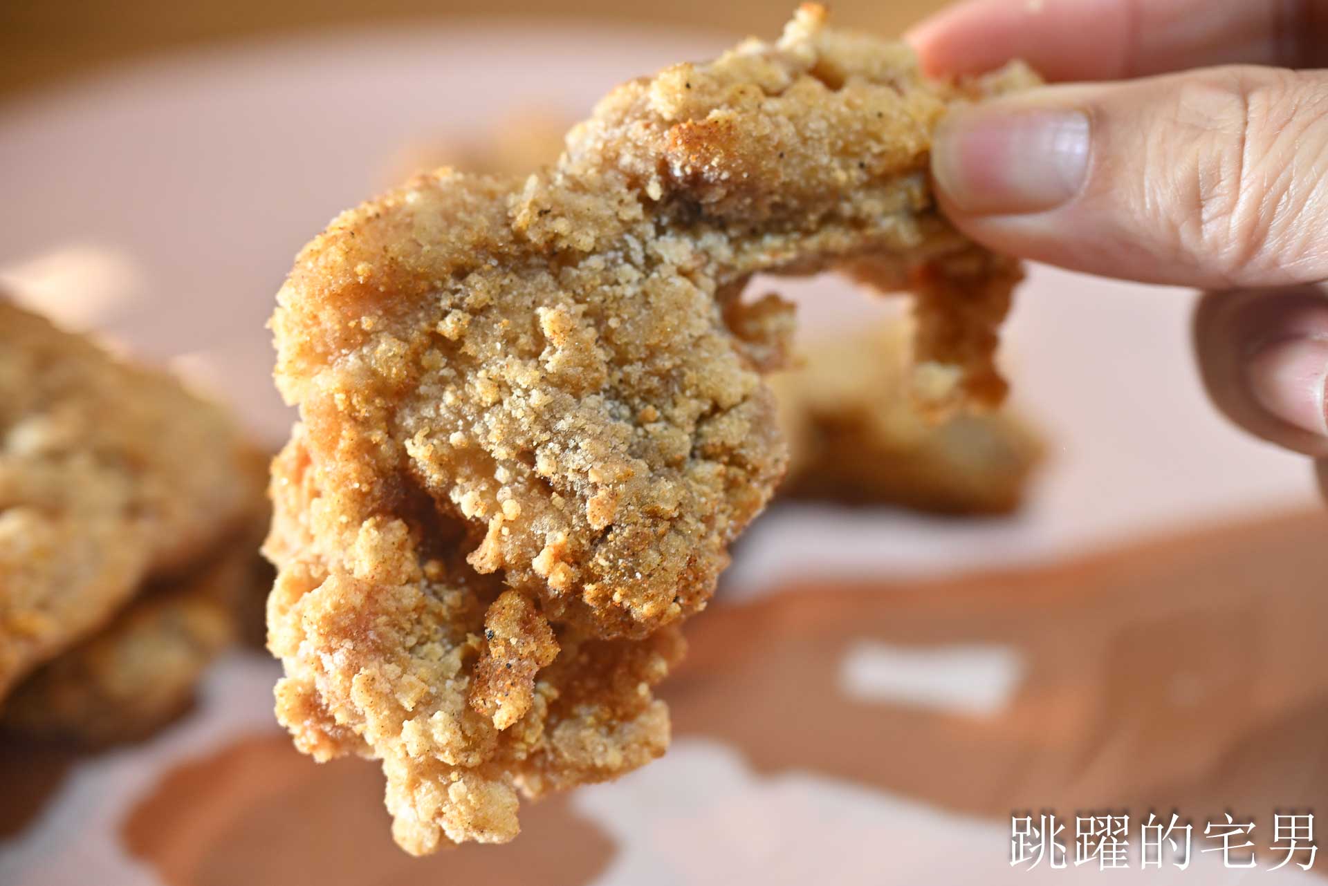 [花蓮鹹酥雞]盧記沾醬雞排中正店-這家花蓮炸雞皮絕對必點，沾醬超大雞排有夠爽! 使用脫油機吃起來更乾酥，開到凌晨1點的花蓮宵夜