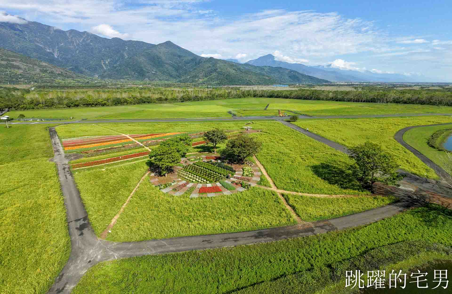 [花蓮光復景點]2026大農大富平地森林園區-光復平地森林遇見大農大富油菜花海盛開，眼前最純粹的天空藍與金色大地，花蓮春節景點，花蓮親子景點