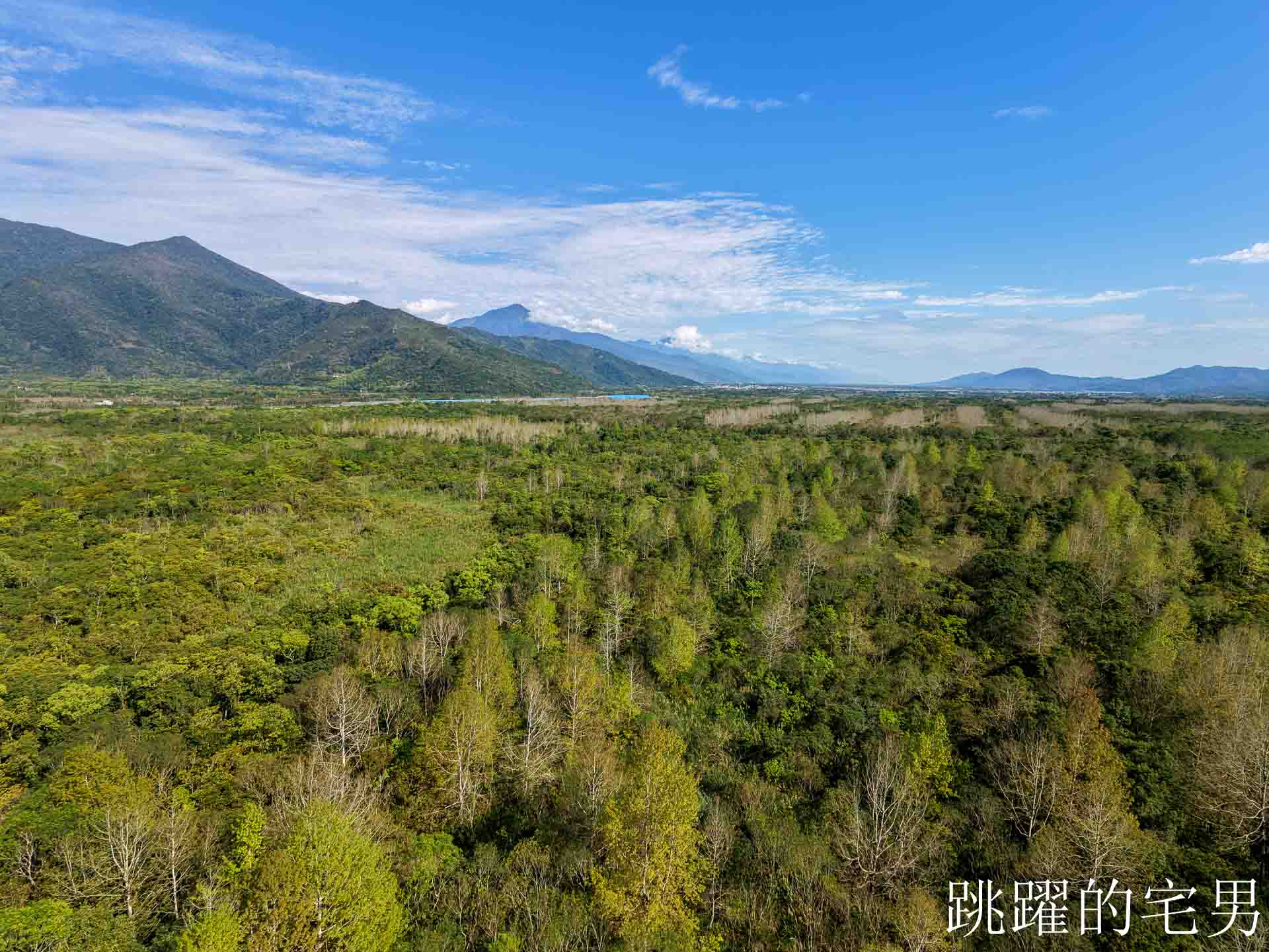 [花蓮光復景點]2026大農大富平地森林園區-光復平地森林遇見大農大富油菜花海盛開，眼前最純粹的天空藍與金色大地，花蓮春節景點，花蓮親子景點