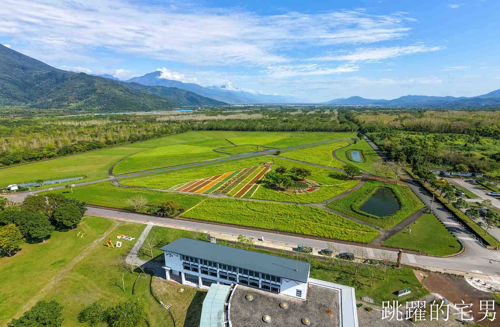 [花蓮光復景點]2026大農大富平地森林園區-光復平地森林遇見大農大富油菜花海盛開，眼前最純粹的天空藍與金色大地，花蓮春節景點，花蓮親子景點