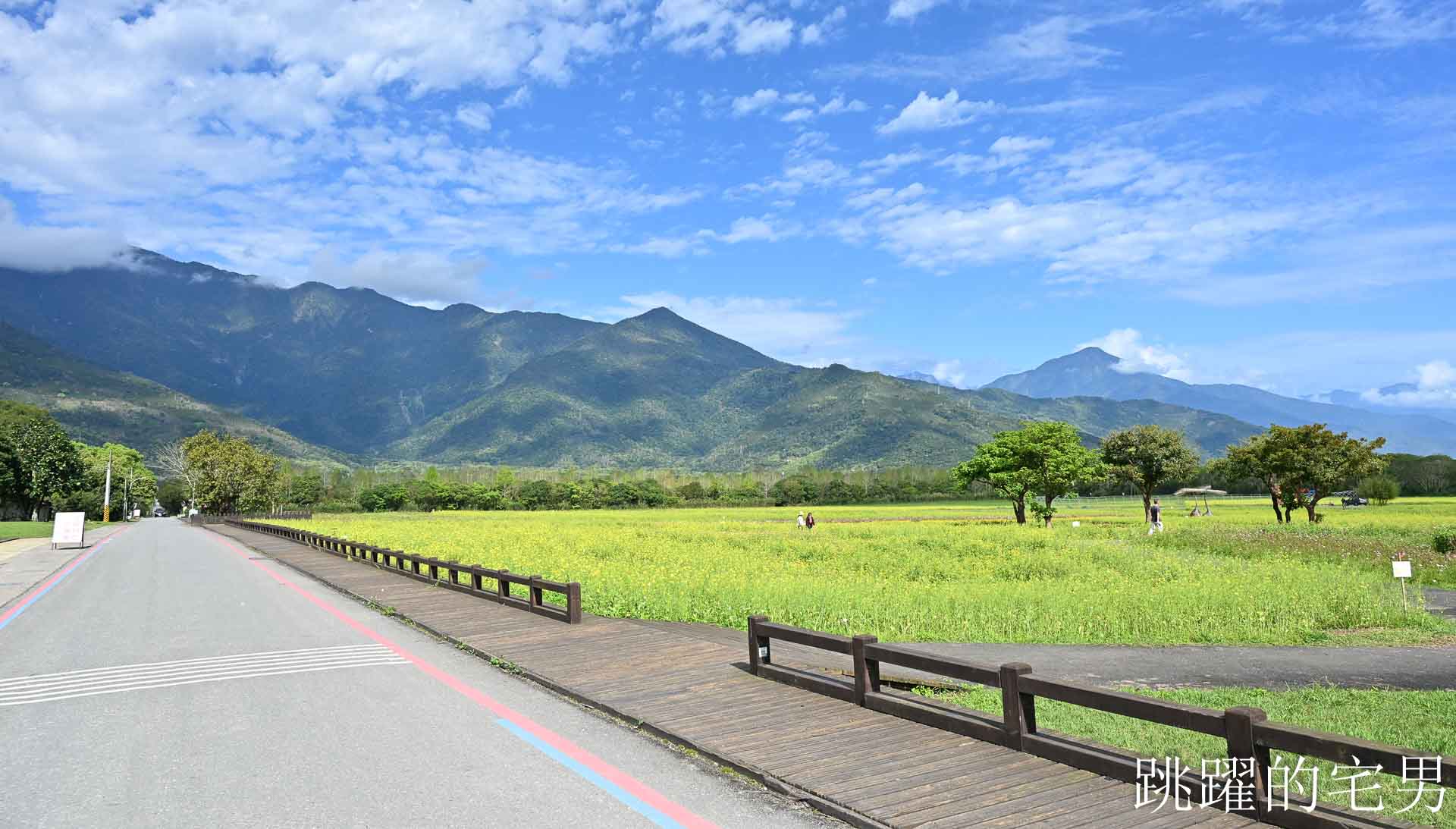 [花蓮光復景點]2026大農大富平地森林園區-光復平地森林遇見大農大富油菜花海盛開，眼前最純粹的天空藍與金色大地，花蓮春節景點，花蓮親子景點