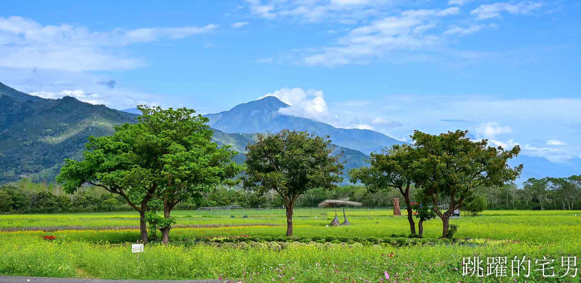 [花蓮光復景點]2026大農大富平地森林園區-光復平地森林遇見大農大富油菜花海盛開，眼前最純粹的天空藍與金色大地，花蓮春節景點，花蓮親子景點
