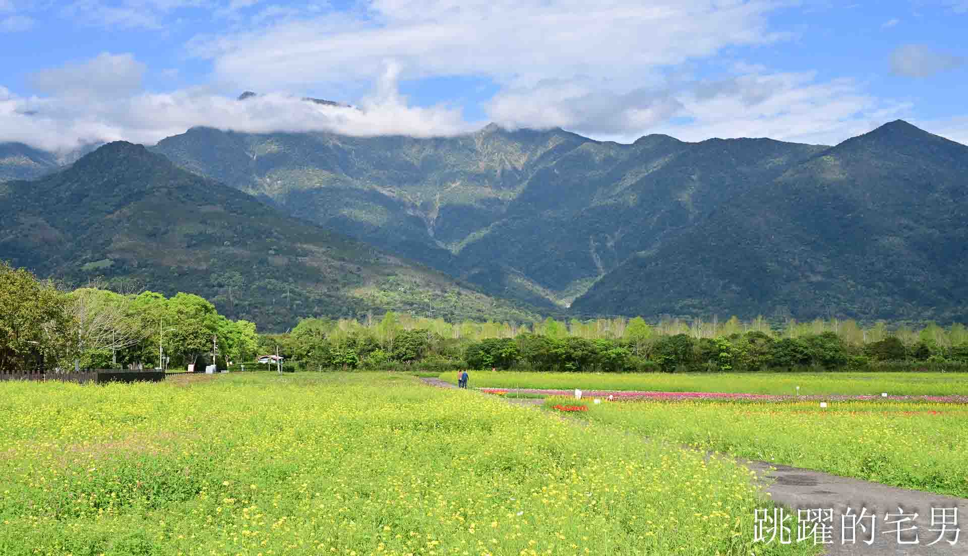 [花蓮光復景點]2026大農大富平地森林園區-光復平地森林遇見大農大富油菜花海盛開，眼前最純粹的天空藍與金色大地，花蓮春節景點，花蓮親子景點